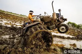 印度“开挂老司机”泥地展示拖拉机特技，极度危险请勿模仿图片