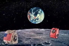 背着宠物去旅行吧！喵星人出门必备图片