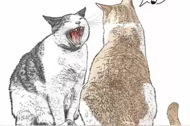 插画|一部有趣的猫咪绘本——《城市的猫》图片