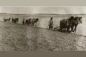 从美国经验看中国农机，我们需要一场正儿八经的革命！图片