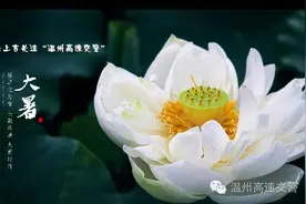 挡风玻璃被砸出大洞，车子也翻倒在高速上，只因....知道真相的人都哭了!图片
