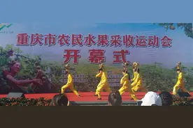 梨子熟了 农民笑了--重庆首届农民水果采收运动会速记图片