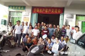 高温季养殖罗非鱼养殖重点图片