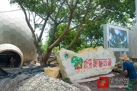 八月“穿越侏罗纪” 恐龙科普乐园第二阶段项目即将开放图片