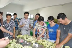 金山区农民田间学校亭林雪瓜班举办雪瓜评比活动图片