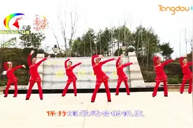 糖豆广场舞精选-杨丽萍广场舞《全民共舞》图片