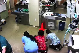 监控拍摄：带狗狗去医院打针，没想到竟然发生这种事，太逗比了！图片