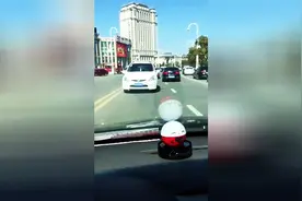 莫非你前进挡坏了？疯狂小车60码倒车前行还超车变线图片