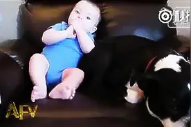 这个视频有毒，嘴角不自觉上扬图片