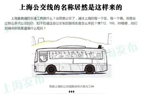 纯文字和纯数字各司其职 上海公交线是怎么命名的?图片