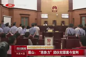 四川新闻｜眉山：“恶势力”团伙犯罪案今宣判视频封面