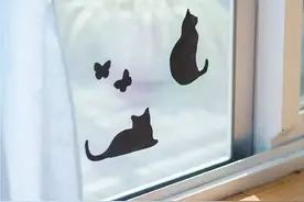 最可爱的补丁 猫咪纱窗贴图片