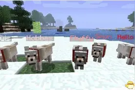 我的世界 1.8.0先进的狼MOD图片