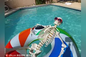 看了这些骷髅骨架内心崩溃  与人同吃住环游世界这福利太好图片