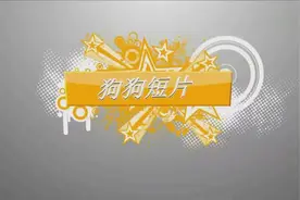搞笑萌宠，哈士奇混入狼群当了狼王，还娶了其中最美丽的母狼！视频封面