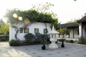 拥有沪上最老紫藤的古藤园重新开门迎客啦！图片