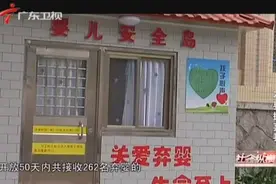 开放50天接收两百多名弃婴，多地“安全岛”不堪重负面临关停！视频封面