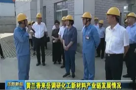 黄兰香来岳调研化工新材料产业链发展情况