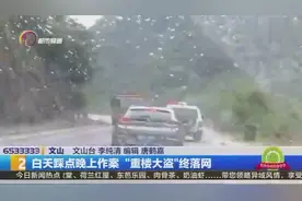白天踩点晚上作案 “重楼大盗”终落网视频封面
