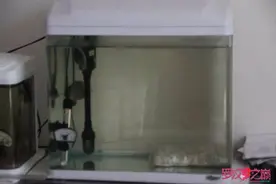 水质不行，改改过滤就好了图片