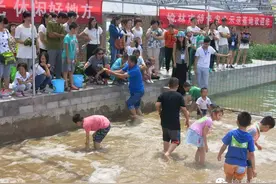 暑期“亲子体验游”玩转开心农场图片