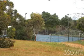 弗林德斯大学社会与行为科学学院及综合排名图片