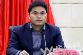 李美云任临湘市委书记 并发表履新讲话图片