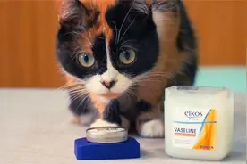 死也想不到的凡士林超实用妙招，纸插在里头会这么棒图片