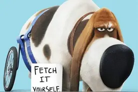 爱宠大机密宠物卖萌笑点不断喜感十足图片