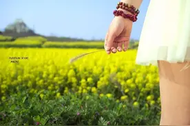 油菜地里的姑娘岳旭政图片