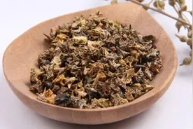 刺蒺藜泡酒喝的禁忌图片