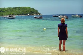 揭秘波多黎各梦幻的荧光海湾图片