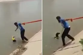 感人一幕!印锡克教男信徒解头巾救落水狗图片