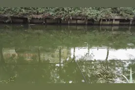 我把青春给了鱼，这辈子钓起来就没完图片