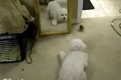 入戏太深⋯⋯尴尬啊图片