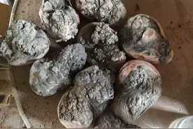 满身瘤的木坨坨看着恶心人，一打磨逆转了颜值，真是长了见识了!图片