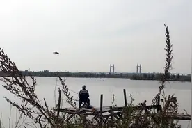 听说这几种诱鱼方法又毒辣又好用！图片
