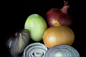 餐桌物种日历 | 8月1日 洋葱图片