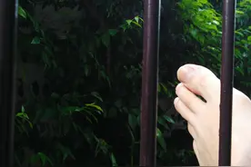 被囚禁的自由与坍塌一角的寺庙图片