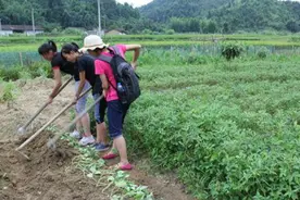 兴宁神曲《种番薯》，十分搞笑！