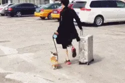 昨晚回家刚坐下。媳妇端着一份烤冷面过来：“老公。。。。。图片