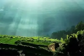 距离成都100多公里隐藏着一个世界级景点！再不去就要收费了！图片