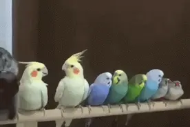 换了一身坐地铁的装备O(∩_∩)O哈哈~图片