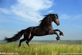 盘点古典小说中速度惊人的六大名马，你知道几匹？图片