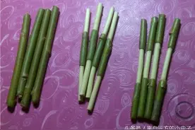 小时候你玩过这些么？柳树做口哨、指甲花染指甲、、、、图片