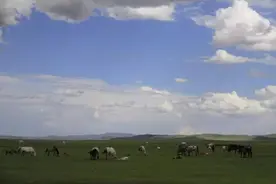 牧羊人与他的爱犬图片