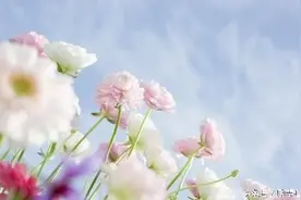 句子好妙，大多数人遇到的有同感的事，值得一读图片