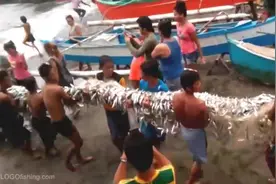 渔民收网上岸，小孩子们都过来帮忙，这鱼获大家都很开心图片