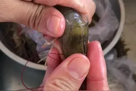 万能的抖音教给我，我教给大家抽虾线，吃起来很干净哦视频封面