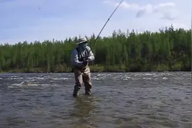 在蒙古的河流里钓哲罗鱼图片